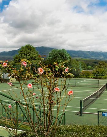 Champagne Sports Resort