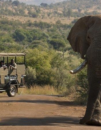 Bakubung Bush Lodge